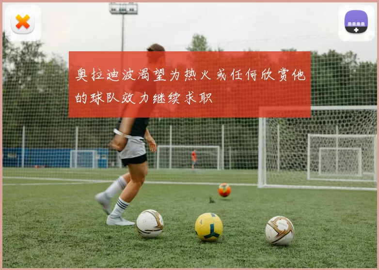 奥拉迪波渴望为热火或任何欣赏他的球队效力继续求职
